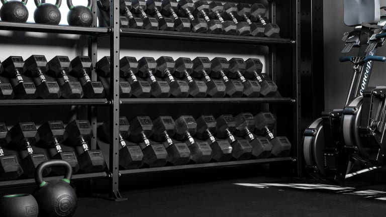 Rogue fitness shop weight sets